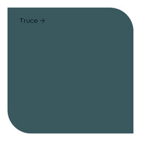 Signature Truce Vinyl Matt Colour Swatch