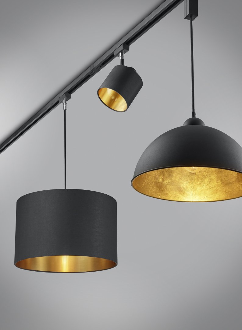 Trio Duo Tommy Black Spotlight