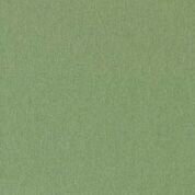 Mountboard Palm 47.25" x 32"