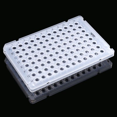 PCR Plates