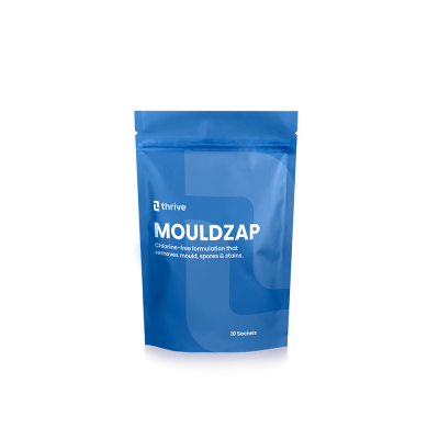 MOULDZAP 10 SACHET POUCH