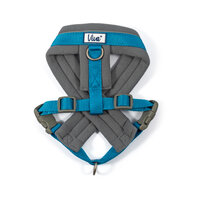 Ancol Viva Padded Harness Medium 41-53cm Blue x 1