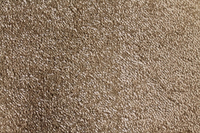 PERENNIAL 90 FRAPPE AB 4M