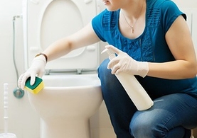 Cleaners/Desinfectants