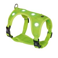 Nobby Flash Mesh LED Harness Neon Yellow Medium
