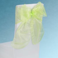 Snow Sheer Chair Tie Lime - 230mm x 3m