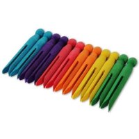 Dolly Pegs - Coloured (24)