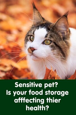 Pet Market Turkiye Home Facebook