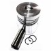PISTON, PIN & CLIPS - INDUSTRIAL
