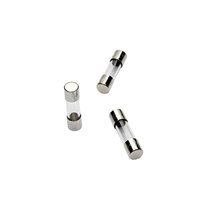 Glass Fuse