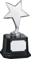 17cm Silver Metal Star on Plinth