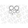 Seal Kit to Suit 3029G Ford Coupler