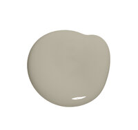 Colourtrend Palm House Fountain Interior Matt Colour Swatch