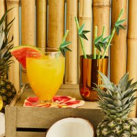 Tropical Paper Straws - Pack of 16