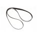 BELT   SERPENTINE