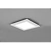 Trio Carus Ceiling Light
