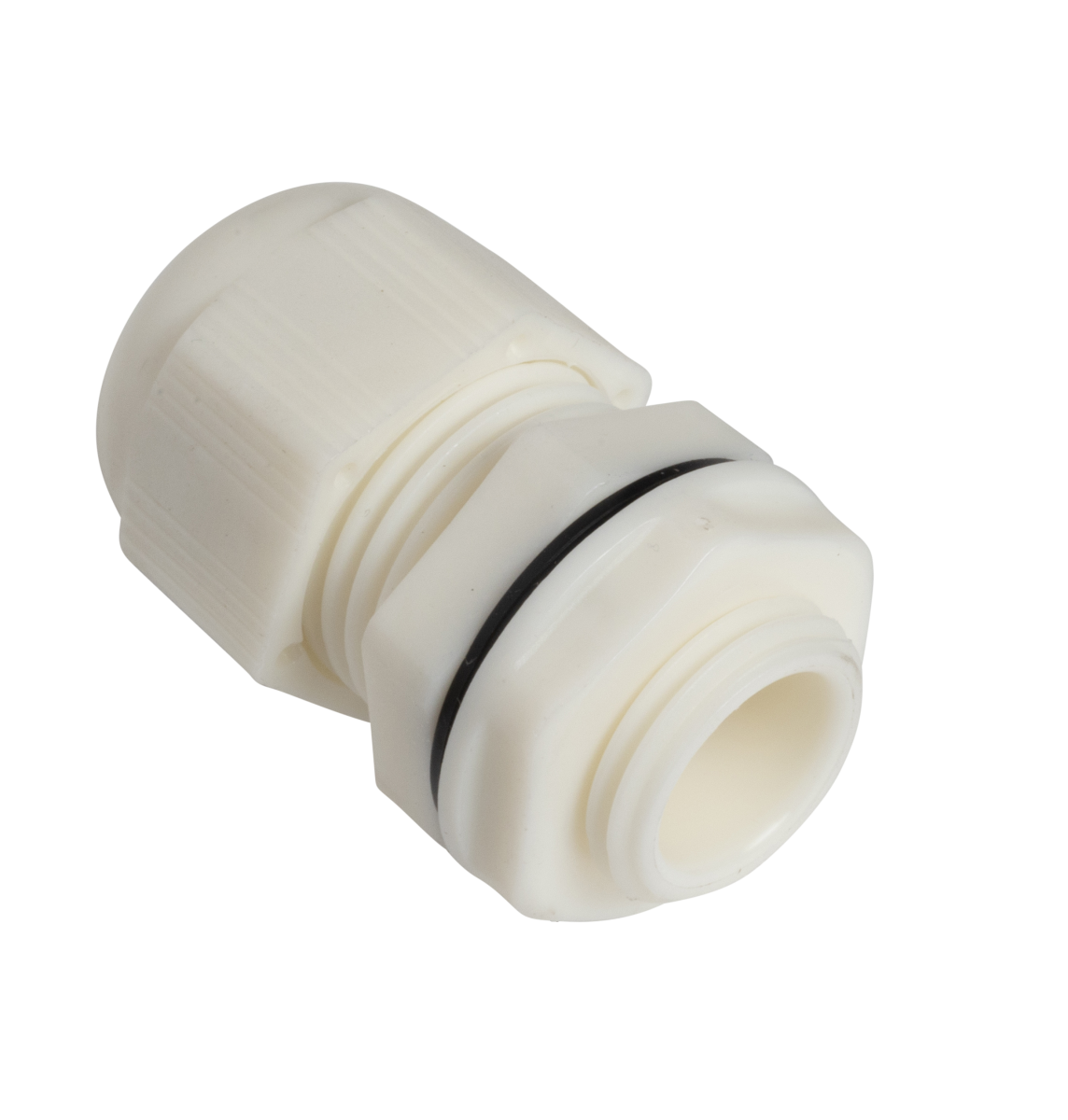 Robus 20mm PG Gland + Locknut RAG20 (36)