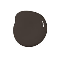 Colourtrend Bitter Chocolate Interior Matt Colour Swatch