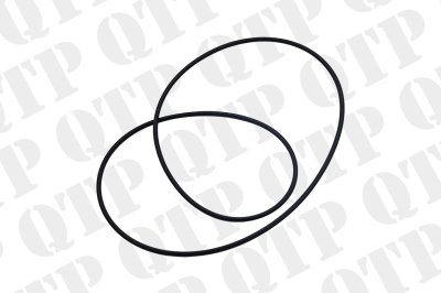 O-Ring 378291X1 - Clutch Massey Ferguson