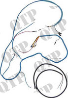 41353_Wiring_Loom.jpg