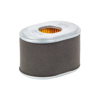 GGP / Loncin SM70 LCF170F Air Filter