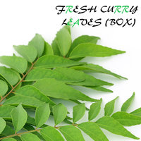 Fresh Curry Leaf (Box)