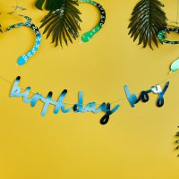 Blue 'Birthday Boy' Card Banner 2m