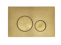 Tucker French Surrey Dual Flush Push Plate Brushed Brass