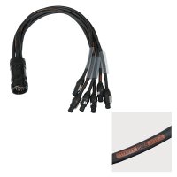 elumen8 Socapex 19-Pin Male &ndash; PowerCON True1 2.5mm Fan-Out Cable