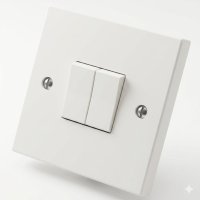 lincoln switch 2 gang 2 way