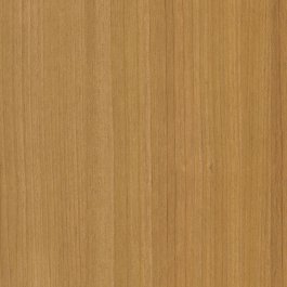 Honey Birch - CT22