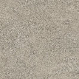 Raw Taupe - NE25