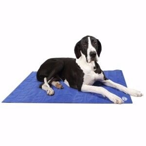 Scruffs Cool Mat - X Large