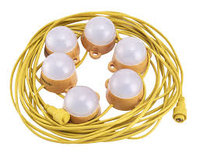 30W 6 Way 110V LED Festoon Kit