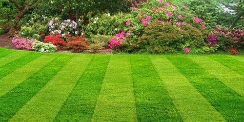 Lawn Care