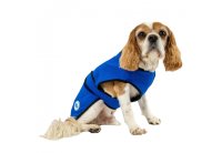 Ancol Dog Cooling Coat Large 