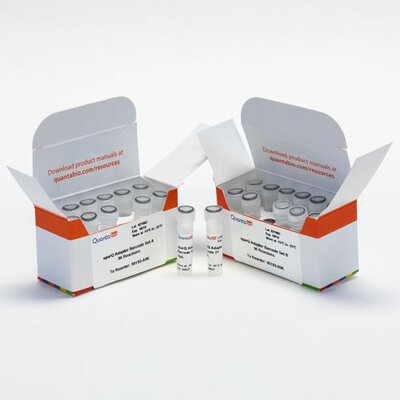 sparQ DNA Library Prep Kit, 96 Reactions