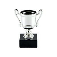 15cm Cast Metal Cup - Silver (V202S)