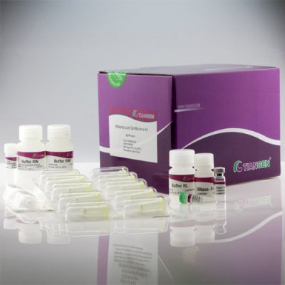 RNAprep Pure Cell/Bacteria Extraction Kit