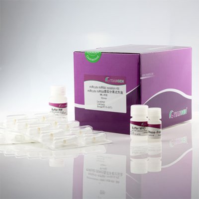 miRNA Isolation Extraction Kit