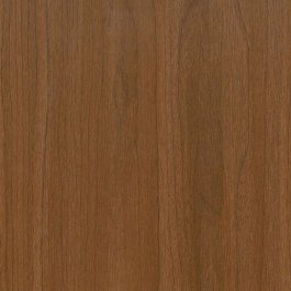 Brown Birch - CT29