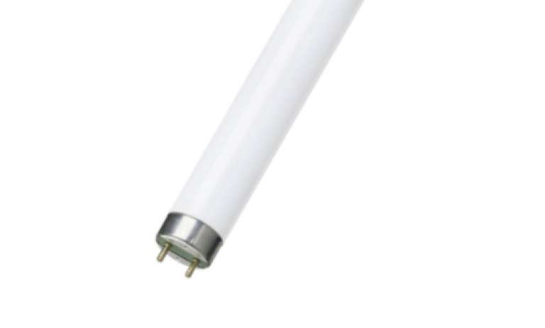 Fluorescent Lamps