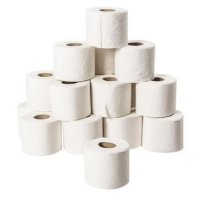 Catering Toilet Rolls 2Ply 320 sheets x 48 rolls