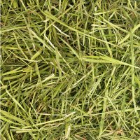 Friendship Estates Readigrass