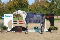 Show-Line Competition Cooler 155