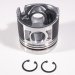 PISTON BODY C/W CLIPS 0.50MM