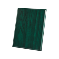 22.5x17.5cm (9x7'') Green Plaque with Strut