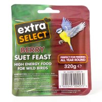 Extra Select Berry Suet Block 1x6