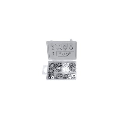 250 Piece Zinc Plated Imperial Flat & Spring Washer Set