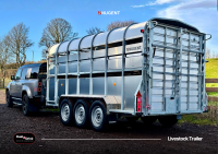 A3 POSTER - LIVESTOCK (CATTLE)